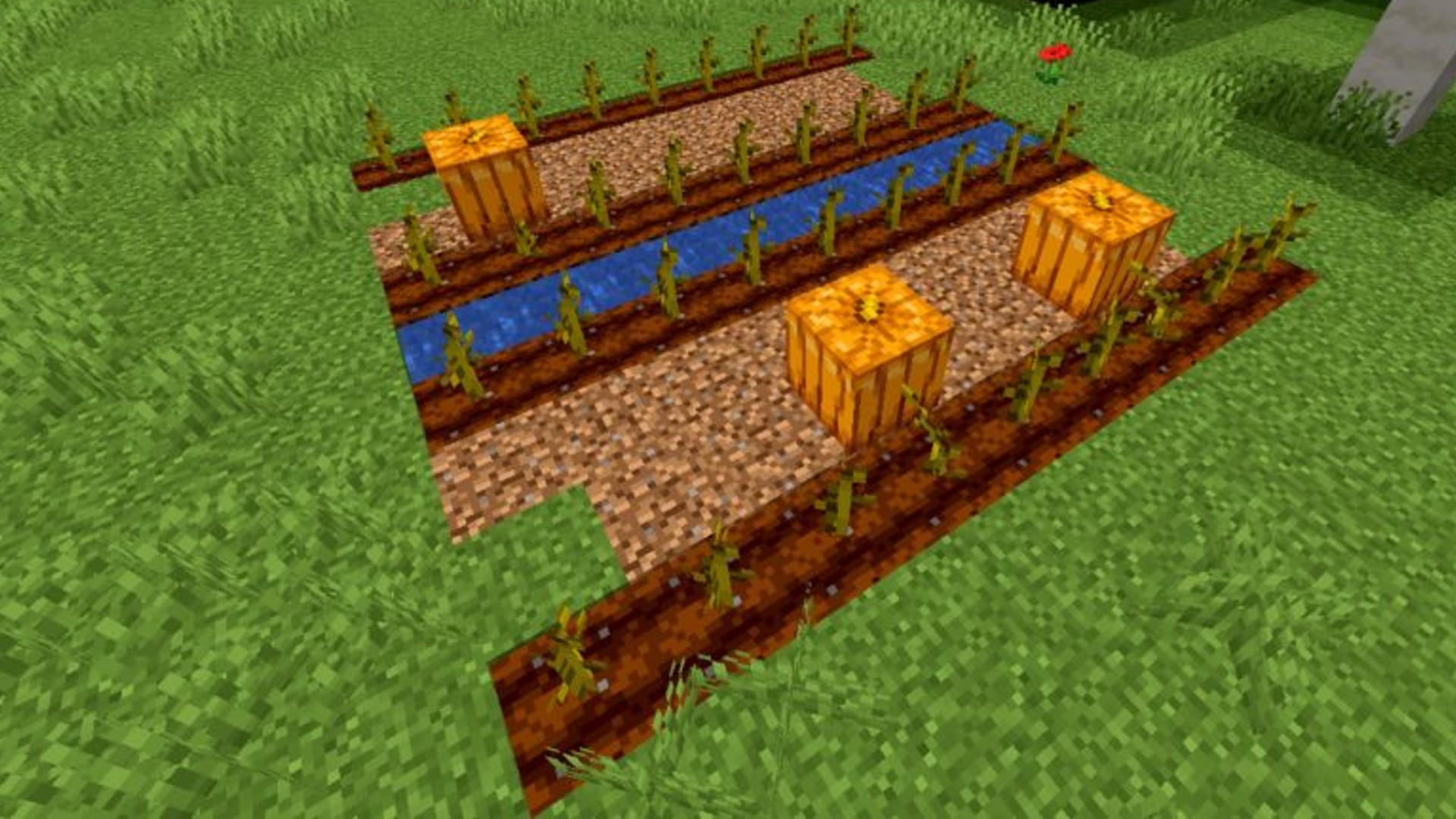 pumpkin minecraft idea