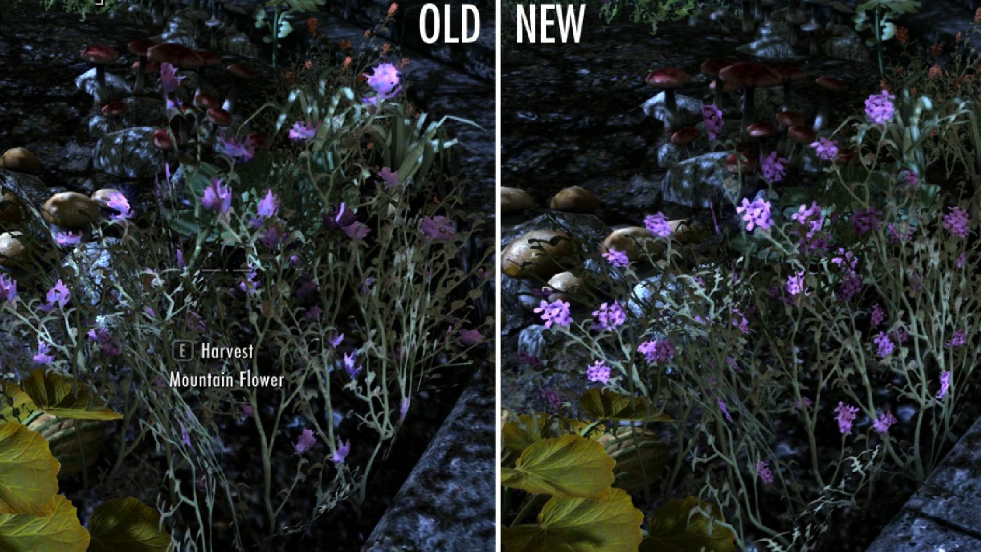 Is there a mod or program that increases the resolution of Plants