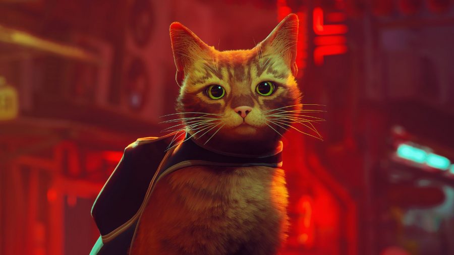 Stray, the cyberpunk cat adventure, has a lovable, believable cat hero -  Polygon