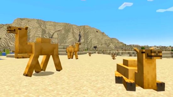 Several Minecraft camels are hanging out in the desert.