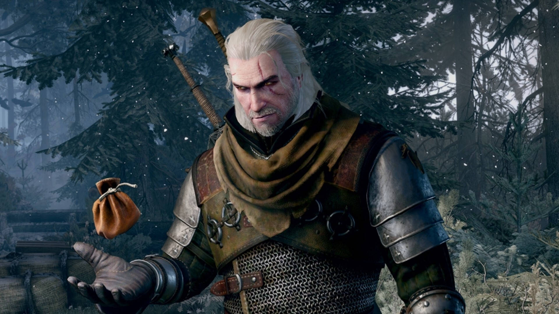 The Witcher (computer game) - The Official Witcher Wiki