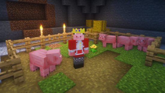 Cool Minecraft skins: A Minecraft stands in a village pig pen in a Technoblade skin