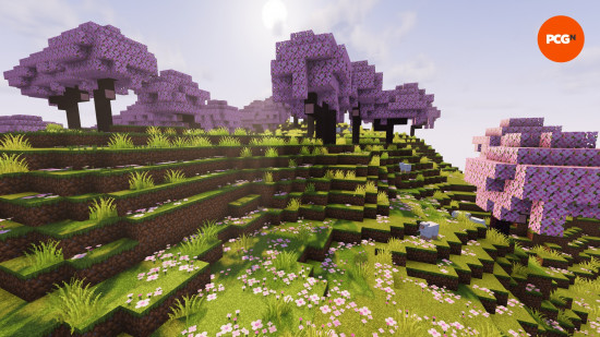 The sun rises over a beautiful cherry grove Minecraft biome, with pink sakura trees and pink petals strewn across the grass.