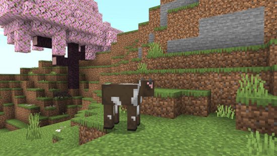 Uma vaca e duas aranhas andando nas árvores de flor de cerejeira Minecraft