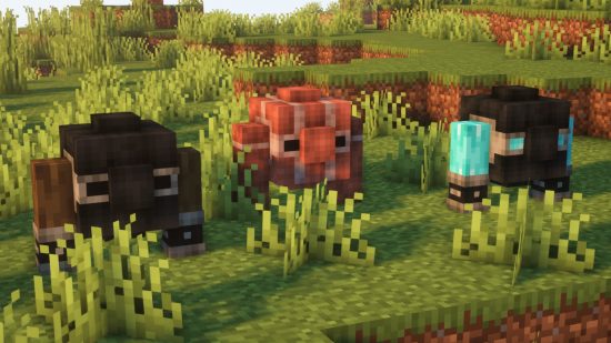 The Best Minecraft Mods To Use With Friends
