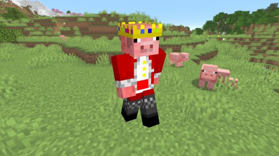 Technoblade's Minecraft skin, real name, texture pack, and more