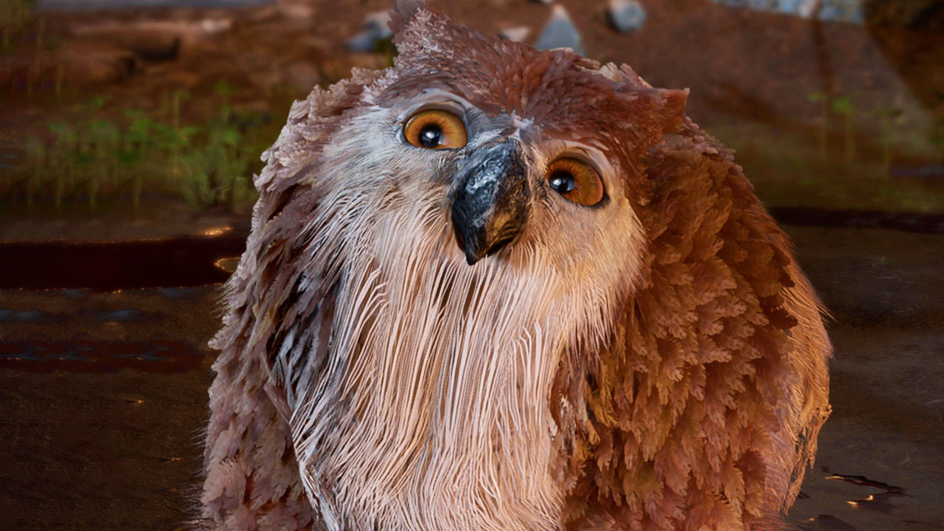 Owlbear Cub  Baldurs Gate 3 Wiki