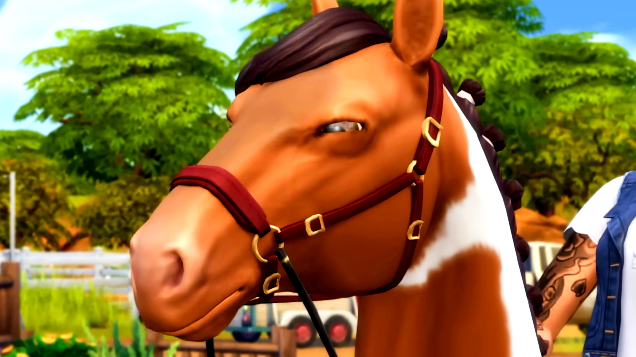 HORSES UPDATE NOW LIVE  Horses, Training, Bidding, New Hats and More! news  - Ranch Simulator - ModDB