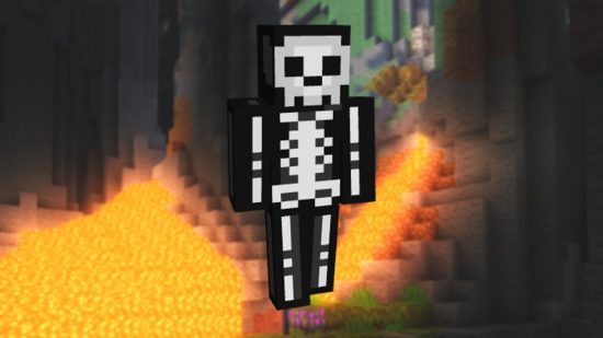 minecraft skeleton skin