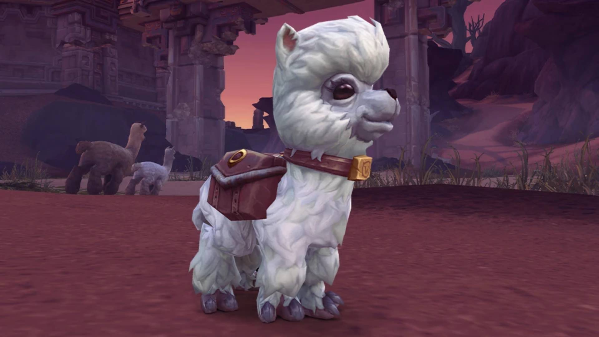 Dragonflight Twitch Drops: Get the Dottie Pet and White Riding Camel Mount  - Now Live! — World of Warcraft — Blizzard News