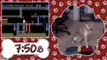 AGDQ 2024 Dog: a Shiba Inu playing a classic NES game