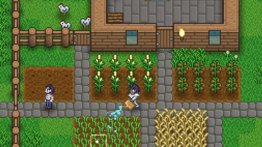 Delverium, two players water crops on a small farm.