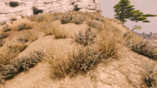 A look at some retextured grasses in Fallout New Vegas grass remesh mod.