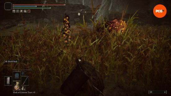 Elden Ring madness: the Tarnished is hiding in the grass as the enemy is alerted to their position because of the glowing bell plants.