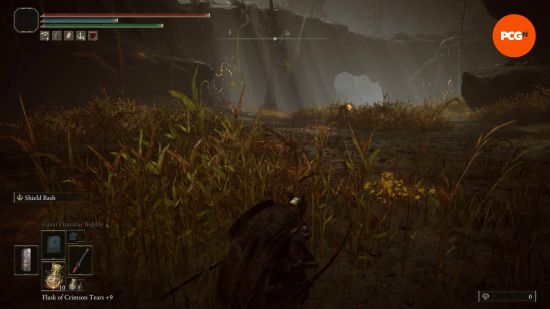 Elden Ring madness: The Tarnished is hiding in the grass in the swamp near one of the instakill enemies.