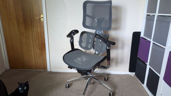 Sihoo S300 ergonomic office chair review image showing the chair in someone's home, with a cat at the bottom left.