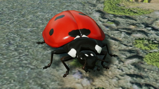 First post-launch patch for brilliant ant RTS squashes a ton of bugs: A ladybug stands on a bit of gravel.