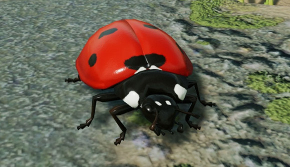 First post-launch patch for brilliant ant RTS squashes a ton of bugs: A ladybug stands on a bit of gravel.