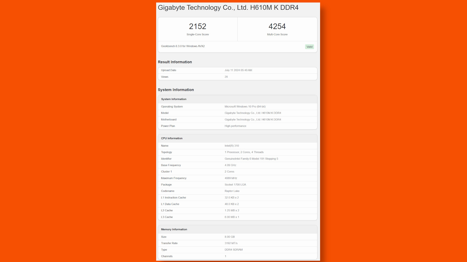 intel processor 310 dual core cpu geekbench